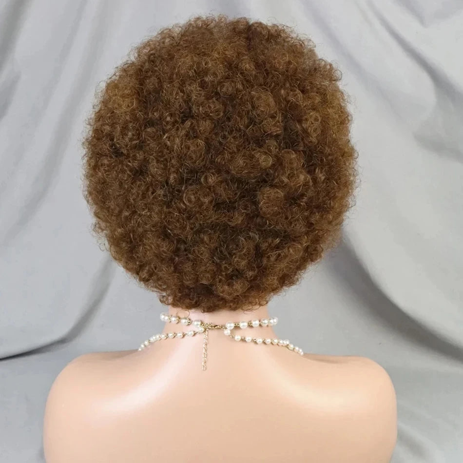 13x4 Lace Frontal Short Afro Kinky Curly Bob Braided Hair Wig 8 Inch Black Human Hair Wigs PrePlucked Bouncy Curly Wig for Women