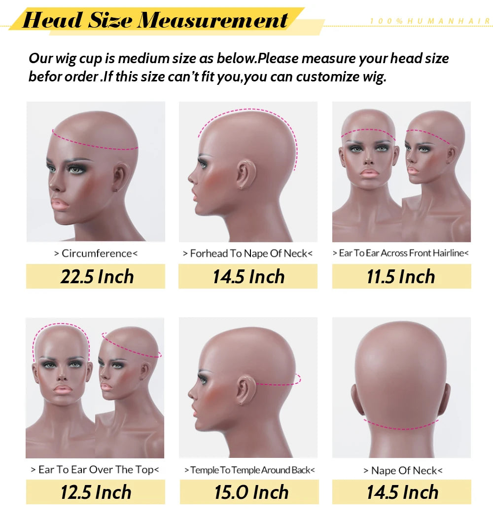 Women's Short Afro Kinky Curly Hair Black Wigs for Black Women Afro Wig Large Bouncy and Soft Natural Looking Premium Human Hair