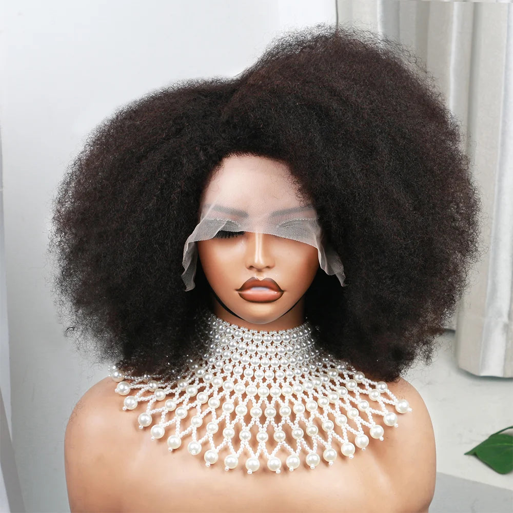 Women's Short Afro Kinky Curly Hair Black Wigs for Black Women Afro Wig Large Bouncy and Soft Natural Looking Premium Human Hair