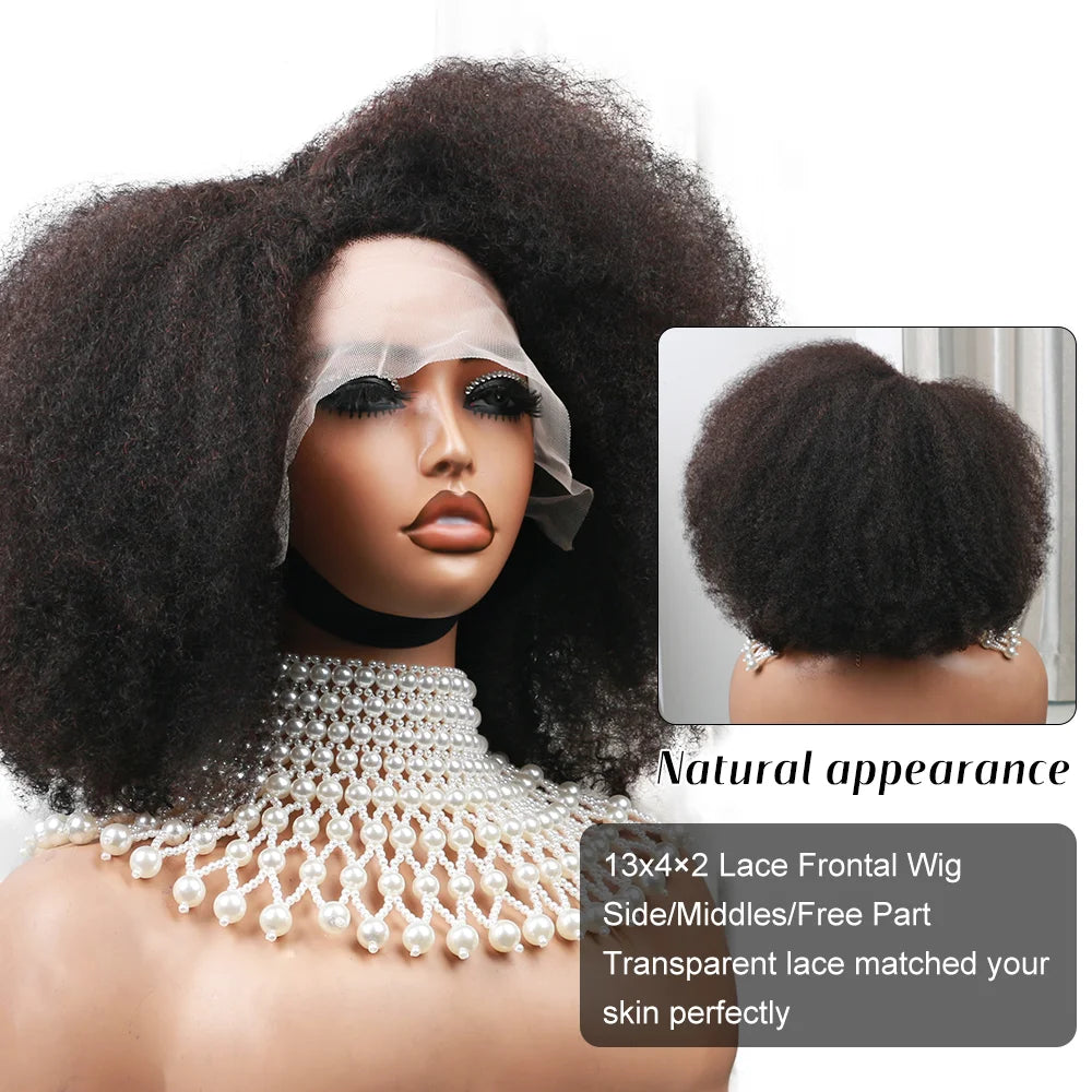 Women's Short Afro Kinky Curly Hair Black Wigs for Black Women Afro Wig Large Bouncy and Soft Natural Looking Premium Human Hair
