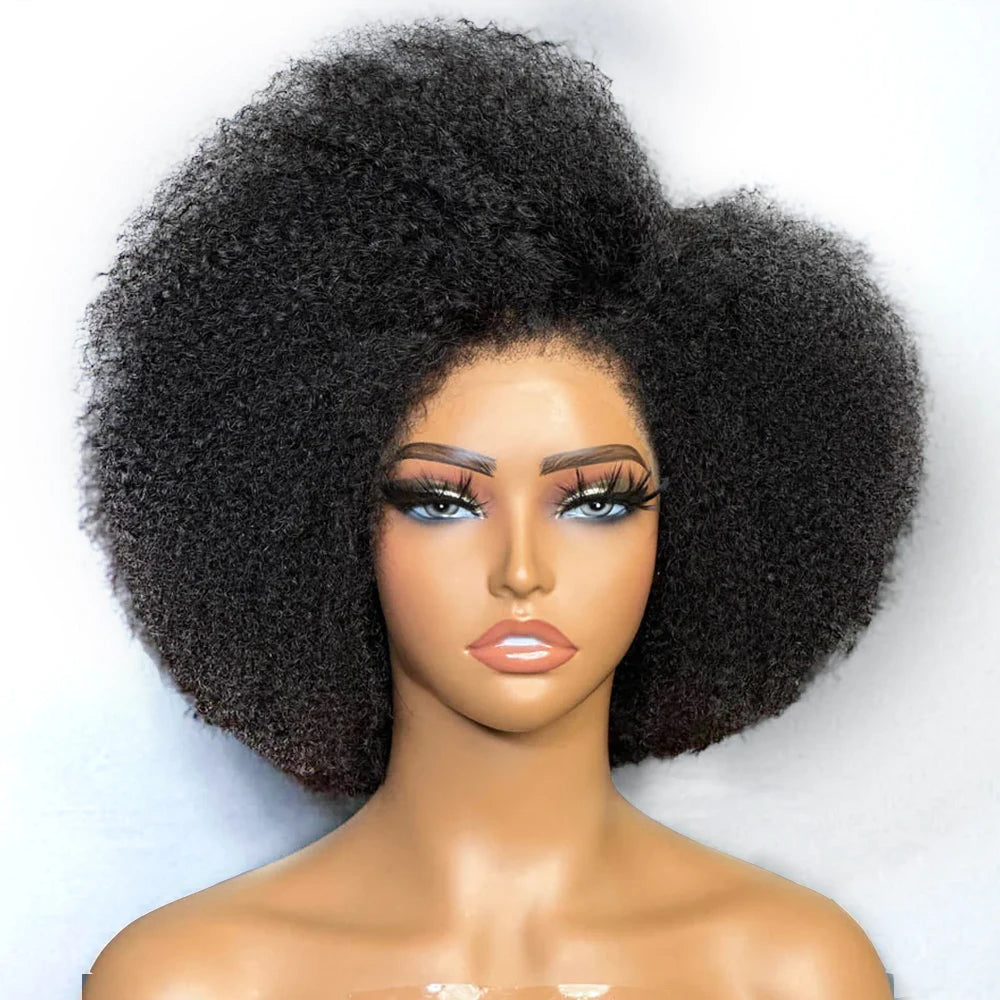 Afro Wigs for Black Women Kinky Curly Lace Front Wig Afro Short Bob Human Hair Wig 13x4x2 HD Lace Natural Hairline Glueless 250%