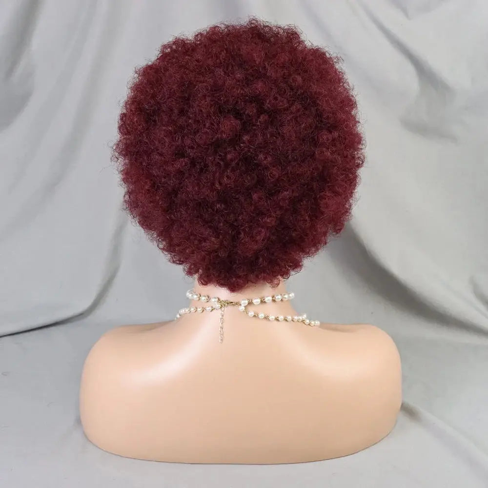 13x4 Lace Frontal Short Afro Kinky Curly Bob Braided Hair Wig 8 Inch Black Human Hair Wigs PrePlucked Bouncy Curly Wig for Women
