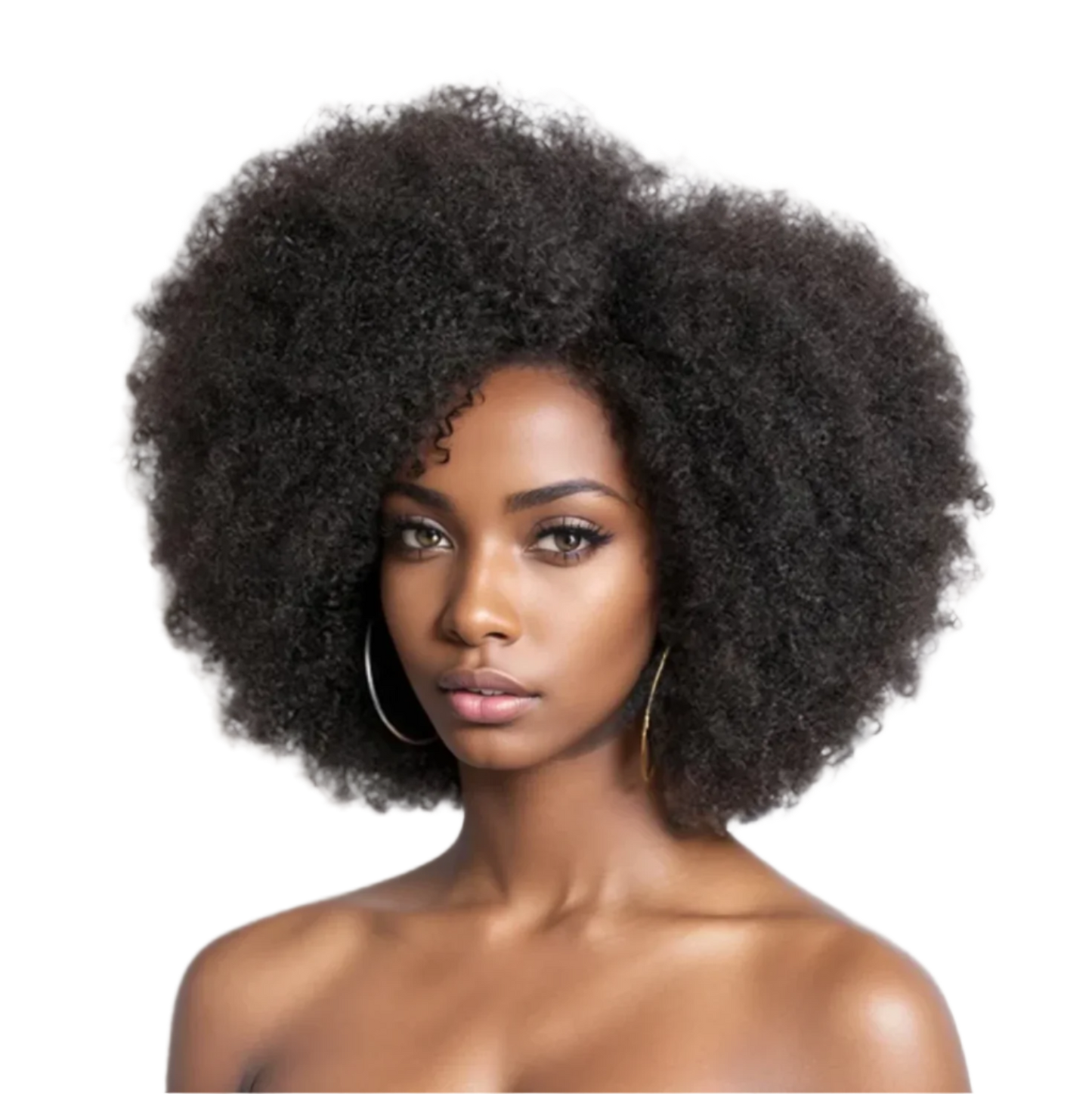 Afro Wigs for Black Women Kinky Curly Lace Front Wig Afro Short Bob Human Hair Wig 13x4x2 HD Lace Natural Hairline 250% Density
